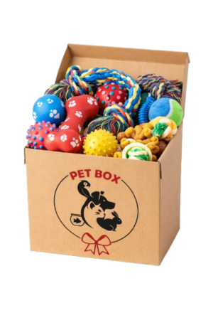 Box giocattoli per cani